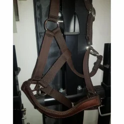 - Marque inconnue - Licols Et Longes>Licol marron