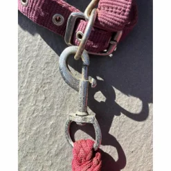 Licol moumoute bordeaux*Time Rider New