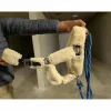 LICOL MOUTON*Equitheme Sale