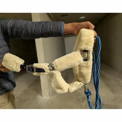 LICOL MOUTON*Equitheme Sale