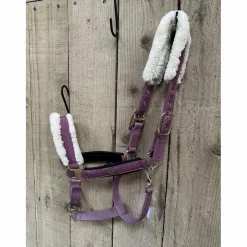 Licol mouton*Felix Bhuler Clearance