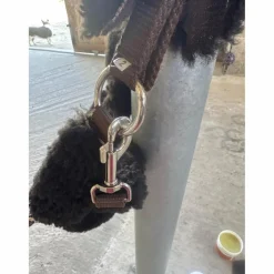 Licol mouton*- Marque inconnue - Sale