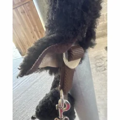 Licol mouton*- Marque inconnue - Sale