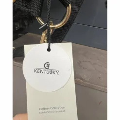 Licol mouton*Kentucky New