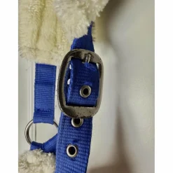 Licol Mouton Bleu Vif Poney-Shetland*Norton