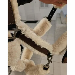 Licol mouton*Penelope Leprevost Outlet