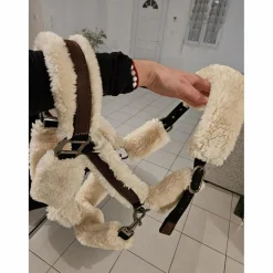 Licol mouton*Penelope Leprevost Outlet
