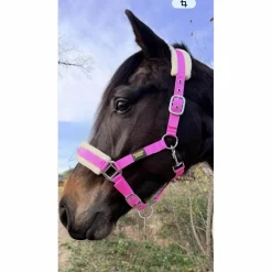 - Marque inconnue - Licols Et Longes>Licol Mouton Rose Fushia | Ultra-Doux & Bouclerie Inox 💖