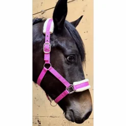 - Marque inconnue - Licols Et Longes>Licol Mouton Rose Fushia | Ultra-Doux & Bouclerie Inox 💖