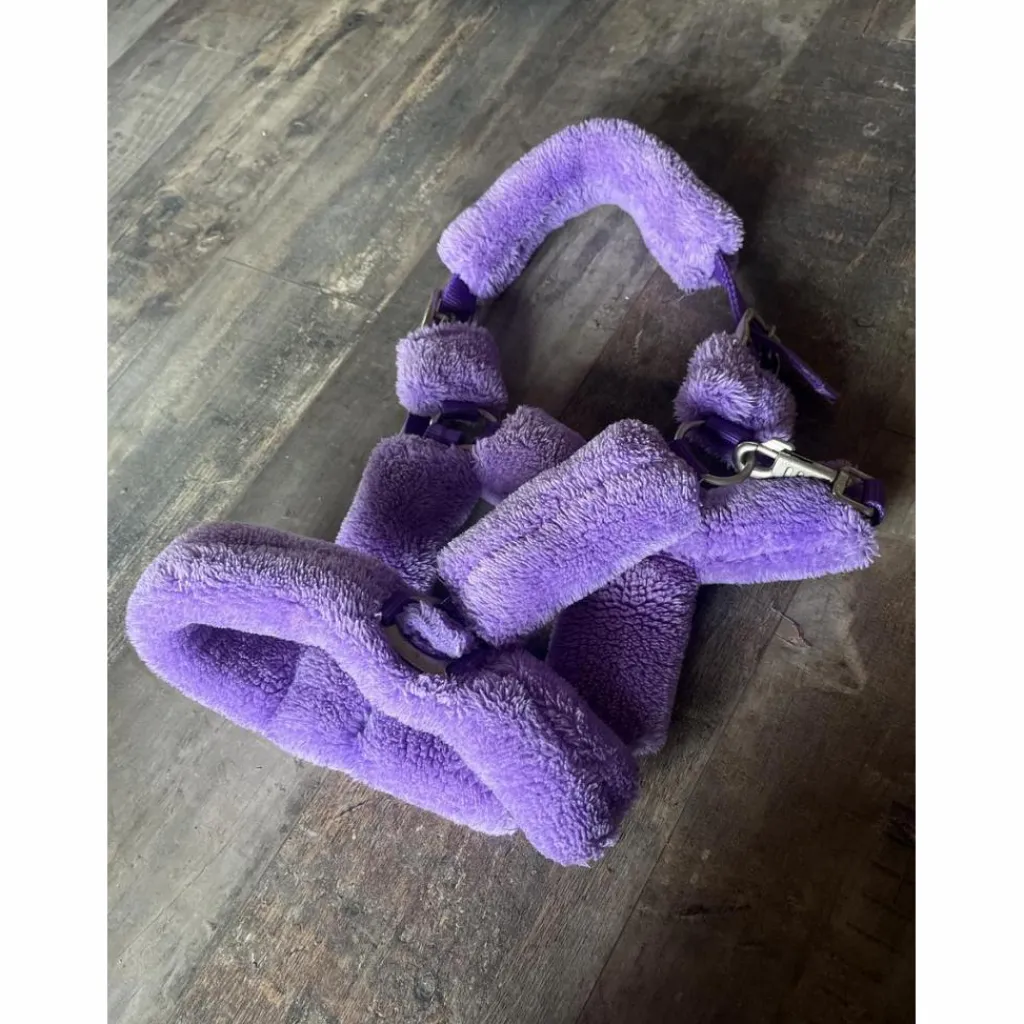 - Marque inconnue - Licols Et Longes>Licol mouton violet