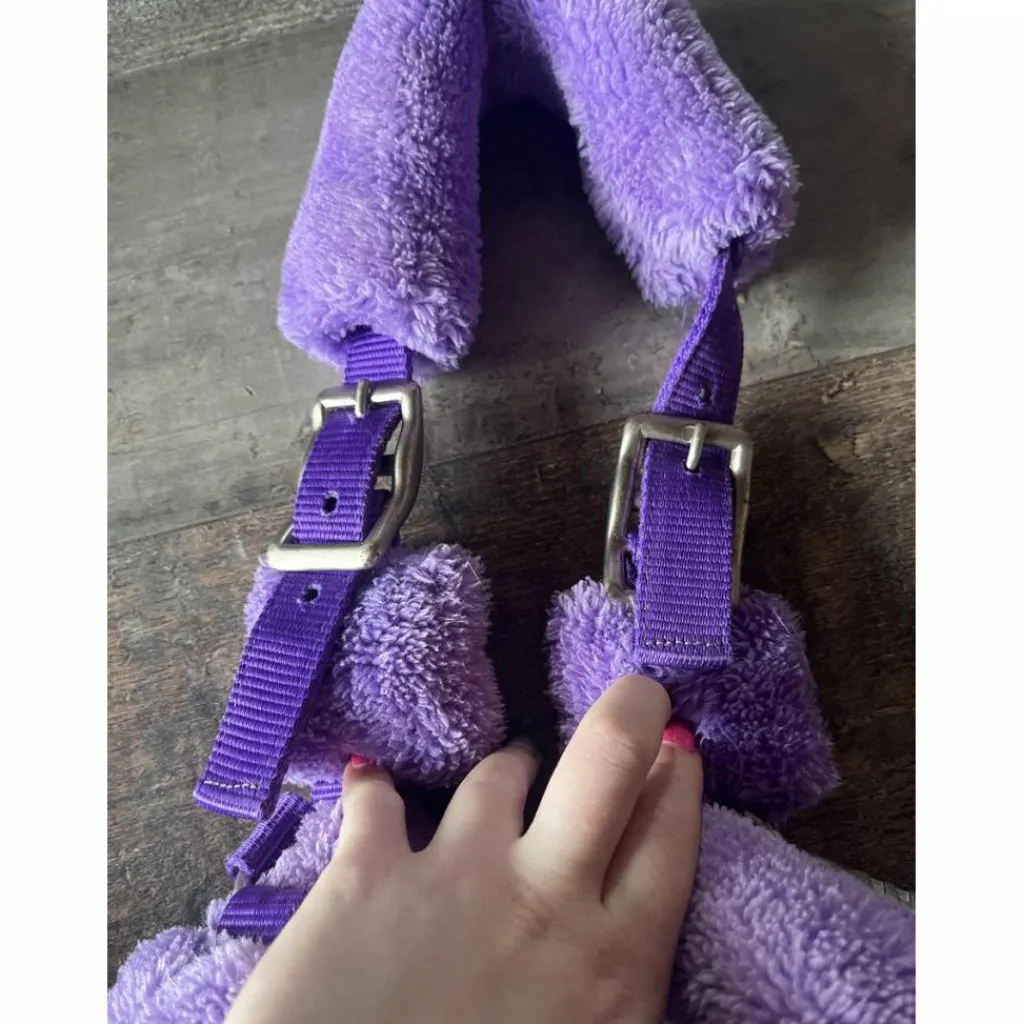 - Marque inconnue - Licols Et Longes>Licol mouton violet