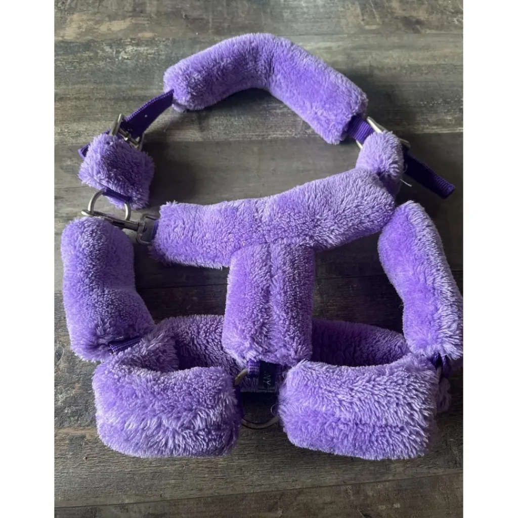 - Marque inconnue - Licols Et Longes>Licol mouton violet