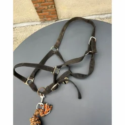 licol noir+ longe orange*- Marque inconnue - Best