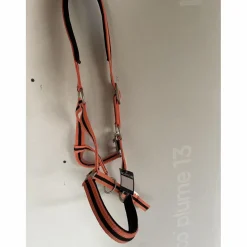 Norton Licols Et Longes>Licol nylon doublé cuir bicolore