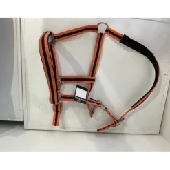 Norton Licols Et Longes>Licol nylon doublé cuir bicolore