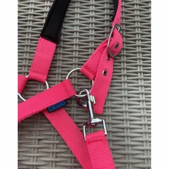 Norton Licols Et Longes>Licol poney rose