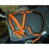 Licol orange*Norton