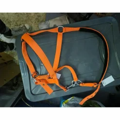 Licol orange*Norton