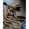 Fouganza Licols Et Longes>licol orange mouton