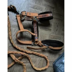 Fouganza Licols Et Longes>licol orange mouton