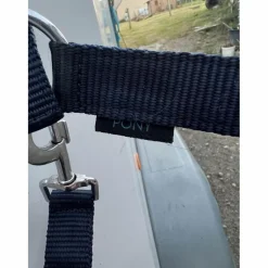 Norton Licols Et Longes><noscript><img width=