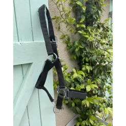 - Marque inconnue - Licols Et Longes><noscript><img width=