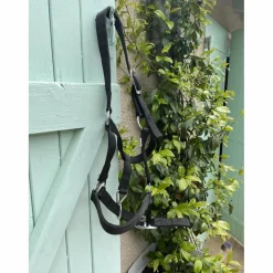 - Marque inconnue - Licols Et Longes><noscript><img width=