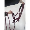 Licol poney nylon couleur prune framboise avec fil argenté*Equitheme Hot