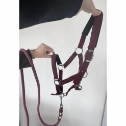 Licol poney nylon couleur prune framboise avec fil argenté*Equitheme Hot