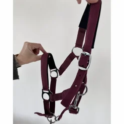 Licol poney nylon couleur prune framboise avec fil argenté*Equitheme Hot