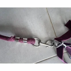 Licol poney nylon couleur prune framboise avec fil argenté*Equitheme Hot