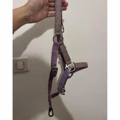 licol poulain-shetland mauve à paillettes*Kramer Clearance