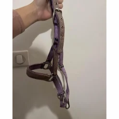 licol poulain-shetland mauve à paillettes*Kramer Clearance