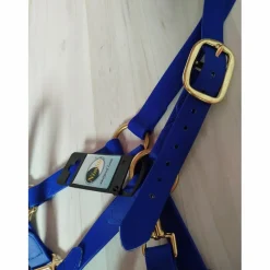 - Marque inconnue - Licols Et Longes>Licol PVC