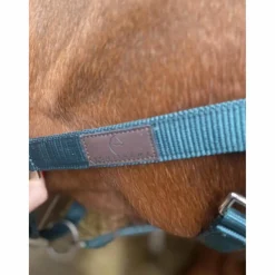 licol équithème turquoise*Equitheme New