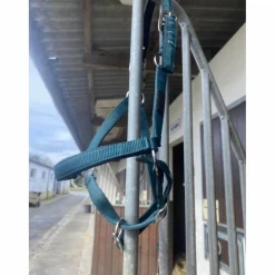 licol équithème turquoise*Equitheme New