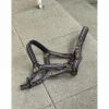 Licol rayé Poney*- Marque inconnue - New