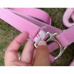 Fouganza Licols Et Longes><noscript><img width=