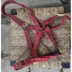 licol rouge*- Marque inconnue - Discount
