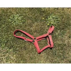 Fouganza Licols Et Longes>licol rouge