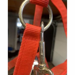 - Marque inconnue - Licols Et Longes>licol rouge avec etoile