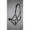 Licol "RX Indestructible" | Cuir Vegan Japonais & Inox Massif 🛡️*- Marque inconnue - Clearance