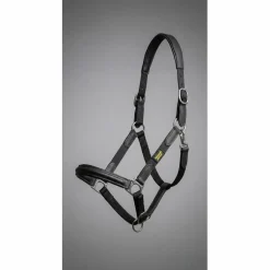 Licol "RX Indestructible" | Cuir Vegan Japonais & Inox Massif 🛡️*- Marque inconnue - Clearance