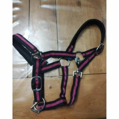 Licol taille poney*Norton Discount