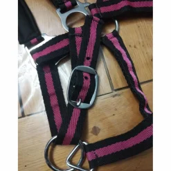 Licol taille poney*Norton Discount