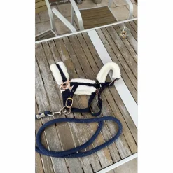 Licol taille poney, avec moumoute et boucles en rose gold*Norton Online