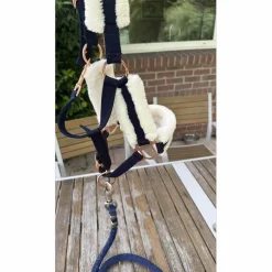 Licol taille poney, avec moumoute et boucles en rose gold*Norton Online