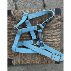Fouganza Licols Et Longes>licol taille shetland