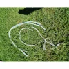 Licol éthologique*- Marque inconnue - Sale