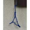 - Marque inconnue - Licols Et Longes>Licol éthologique bleu taille shetland